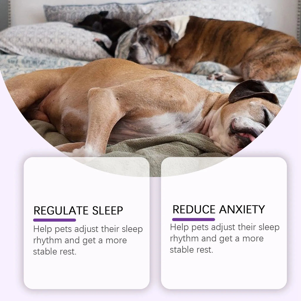 60ML Liquid Melatonin For Anxious Dogs