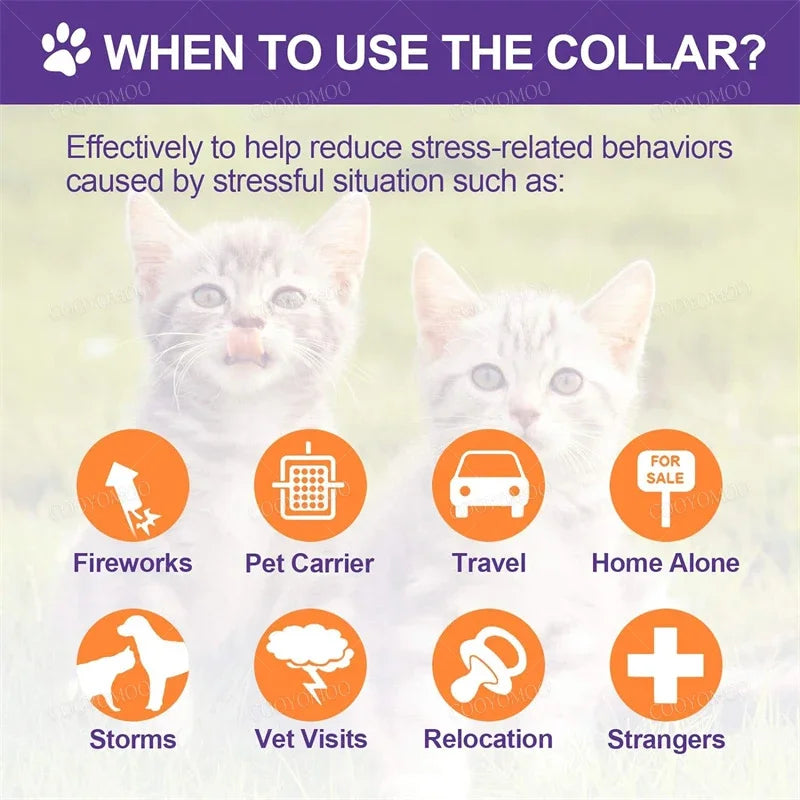 Dog Pheromone Collar Anxiety/Stress Relief